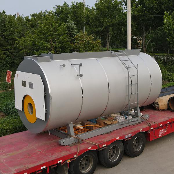 滿足環(huán)保要求的燃?xì)忮仩t廠家有哪些？