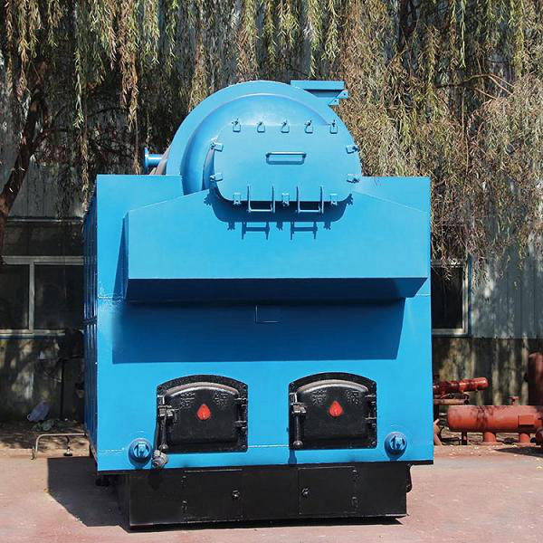 生物質(zhì)節(jié)能蒸汽鍋爐有那些類型？